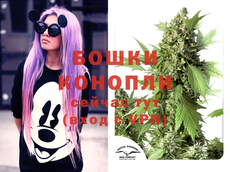 сколько стоит  Советский  Канабис White Widow 